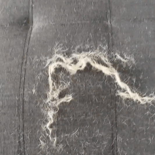 Why Your Dog Won't Stop Shedding | DoggoLabs