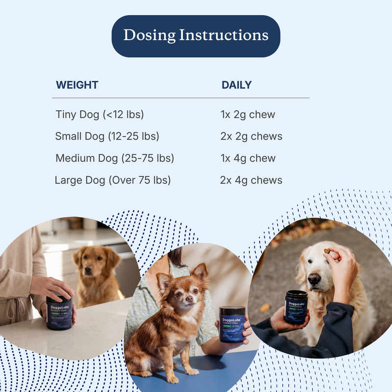 FurGuard™ | Stop Finding Dog Hair in Everything