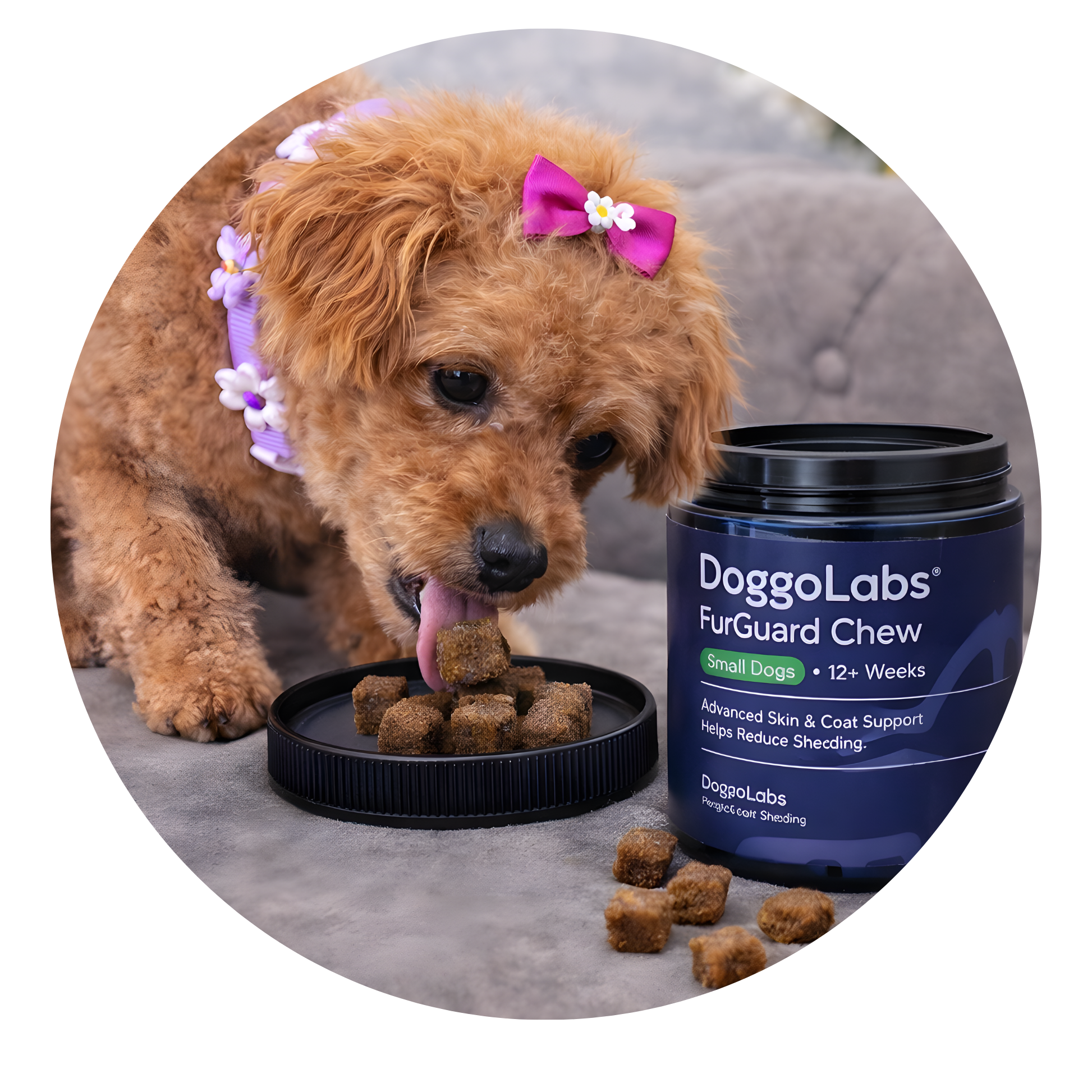 Banner Doh Main Image