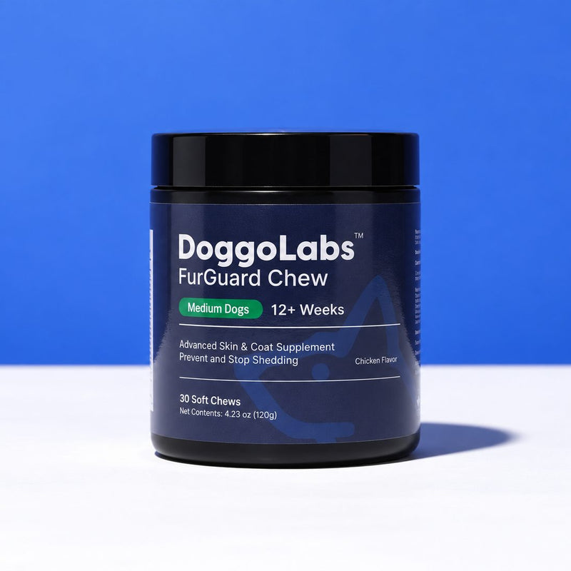 FurGuard™ | Stop Finding Dog Hair in Everything
