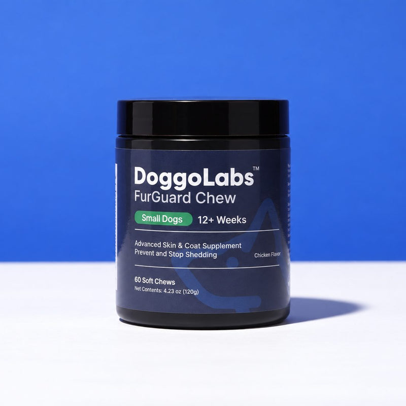 FurGuard™ | Stop Finding Dog Hair in Everything