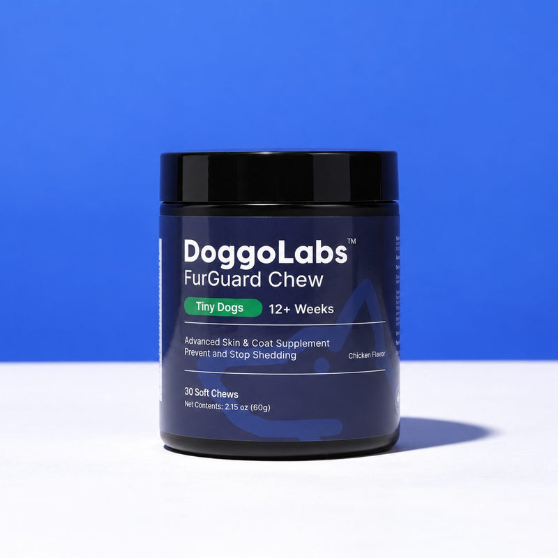 FurGuard™ | Stop Finding Dog Hair in Everything