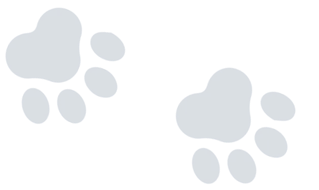 Paw Image